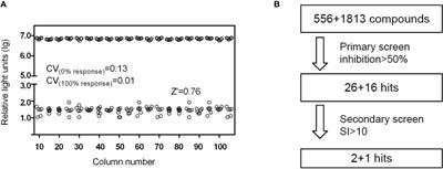 High-Throughput Screening and Identification of Human Adenovirus Type 5 Inhibitors